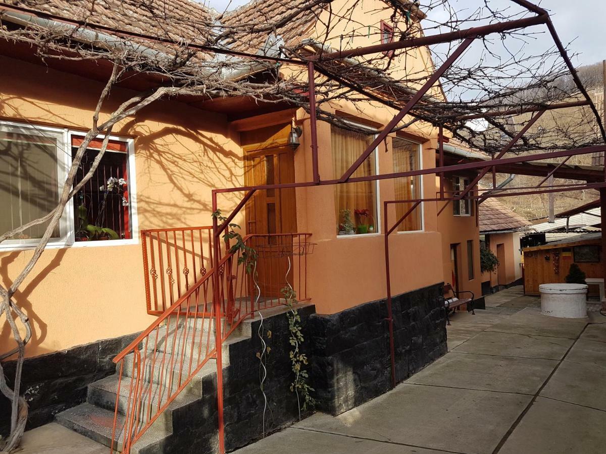 Casa De Oaspeti Morii 22 Malancrav المظهر الخارجي الصورة